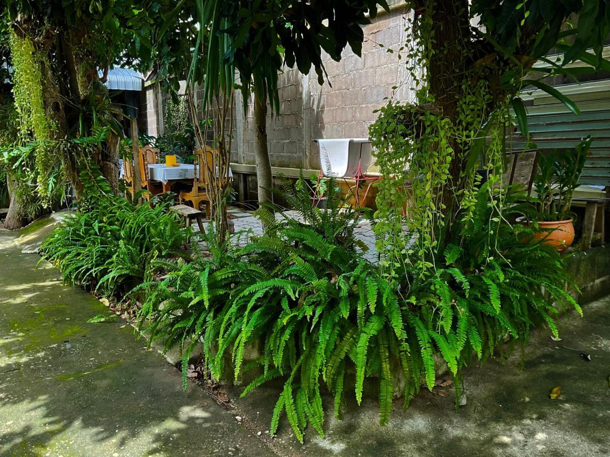 Kwanlah Homestay Мечем Екстер'єр фото